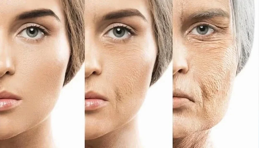 مقالات 139 علاجات مكافحة الشيخوخة والتقدم في العمر